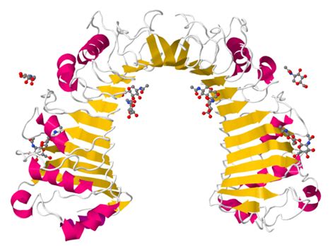 human clusters  differentiation cd markers pathology laboratory