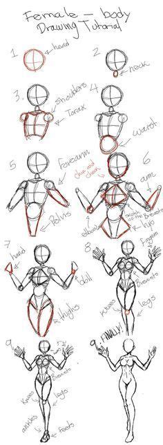 Como Dibujar Anatomia Humana Paso A Paso Guia Gratis Artofit