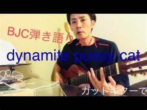 dynamite pussy catBlankey Jet City 弾き語りカバー YouTube