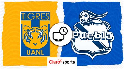 Tigres Vs Puebla En Vivo Horario Y Dónde Ver Hoy Por Tv El Partido De