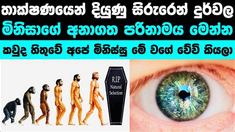 මනසග අනගත පරනමය මහමය The Future of human evolution YouTube