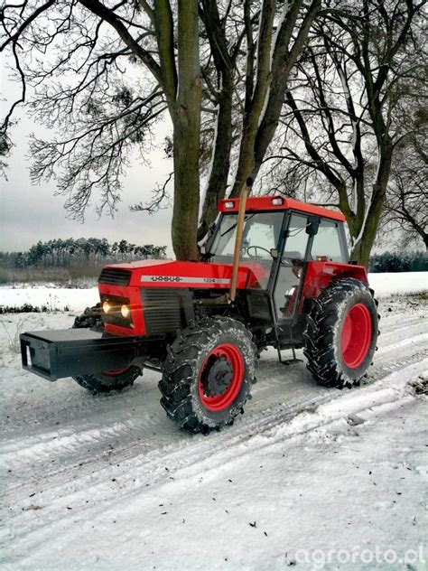 Zdjęcie traktor Ursus 1224 id 793119 Galeria rolnicza agrofoto