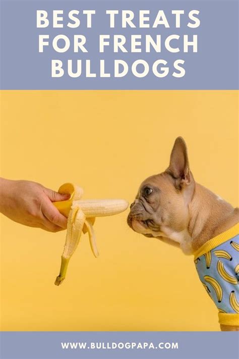 Best Treats For French Bulldogs Bulldog Bulldog Francés