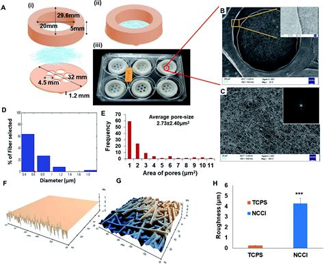 A Designer Cell Culture Insert With A Nanofibrous Membrane Toward