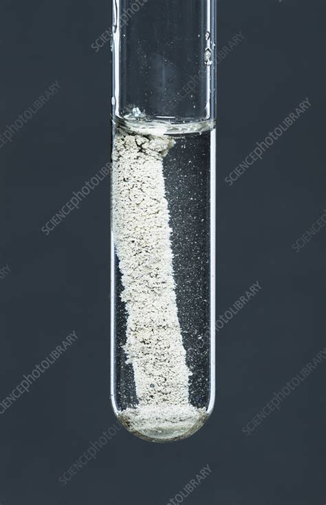 Zinc Reacting With Silver Nitrate 3 Of 3 Stock Image C0307219 Science Photo Library