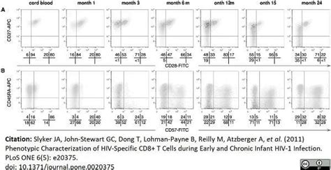 anti human cd antibody clone tb bio rad