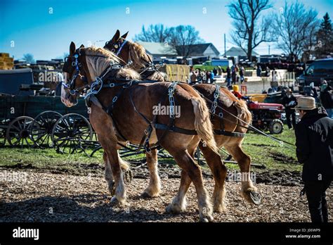 Lancaster County Pa Annual Fire Company Mud Sale And Auction Benefit