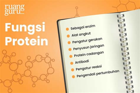 Kenali Pengertian Protein Beserta Sifat Fungsinya Kimia Kelas