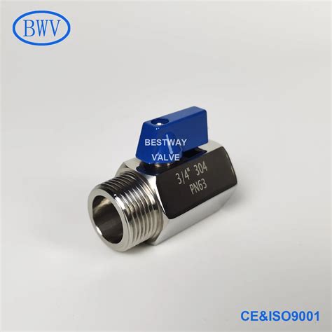 Pn63 304 316 Npt Bspp Bspt M F Threaded Stainless Steel Mini Ball Valve