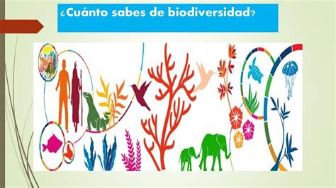 Biodiversidad Pepe Udocz