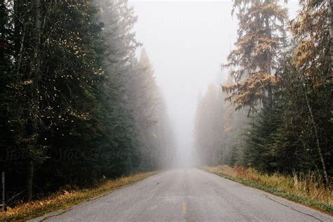 Rural Country Road In Washington By Stocksy Contributor Justin