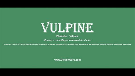 Vulpine Pronounce Vulpine With Meaning Phonetic Synonyms And