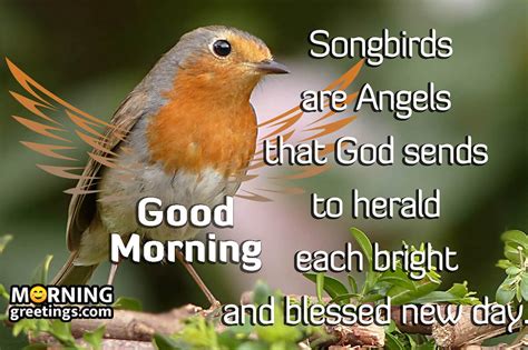 Good Morning Images With Angel Quotes - Morning Greetings