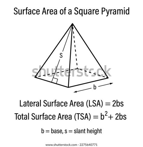 Surface Area Square Pyramid Vector Illustration Stock Vector (Royalty ...