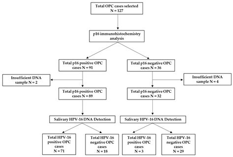 Cancers Free Full Text Unlocking The Potential Of Saliva Based Test To Detect Hpv 16 Driven