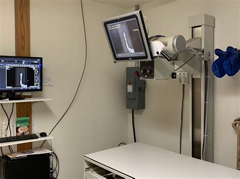 » Diagnostics & Radiology | Veterinarian and Animal Hospital in