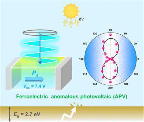 Giant Polarization Sensitivity Via The Anomalous Photovoltaic Effect In