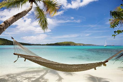 Palm Trees Beach Hammock