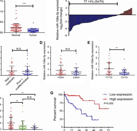 The Expression Profile Of Mir 216a 5p In Crc Tissues And Its Download Scientific Diagram