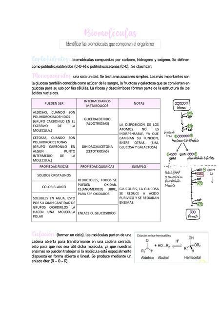 Biomol Culas Victoria Rinc N Udocz