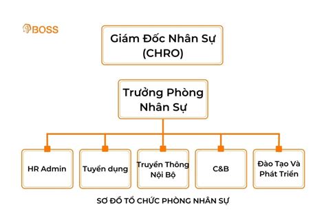 10 Mẫu Sơ đồ Tổ Chức Công Ty Và Phòng Ban Chuyên Nghiệp