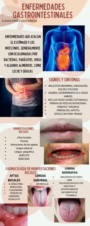 Caries Definici N Signos Y S Ntomas Etiolog A Diagn Stico Prevenci N