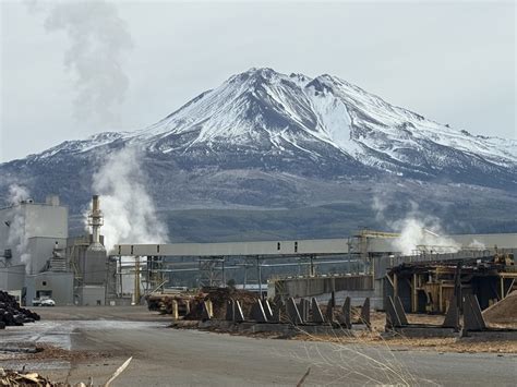 Check the digital edition of Roseburg News Review 31