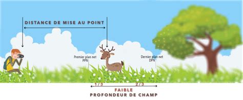 La profondeur de champ expliquée aux débutants Apprendre la photo