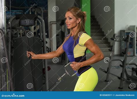 Healthy Mature Woman Doing Back On Cable Machine Stock Image Image Of Model Flexing 82683511
