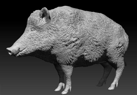 Artstation Wild Boar