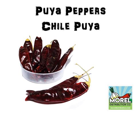 Dried Chile Puya Pepper chile Pulla / Weights: 4 Oz, 8 Oz, & 1 Lb - Etsy