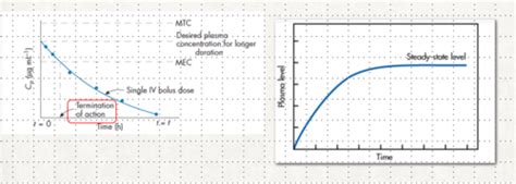 2 17 2023 S5 Basic And Applied Pharmacokinetics IV Infusion Flashcards