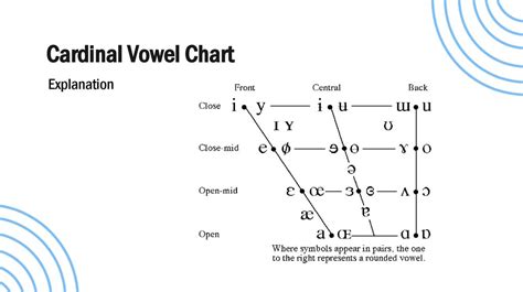 Cardinal Vowels презентация онлайн