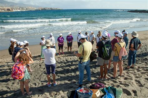 La campaña de concienciación ambiental de la ULL llega a Playa Grande