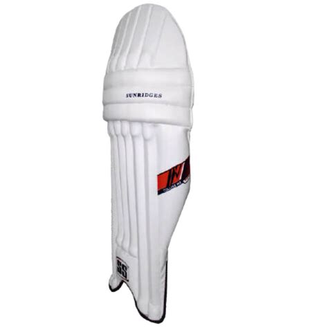 Ss College Mx Cricket Batting Legguard Sports Wing Shop On