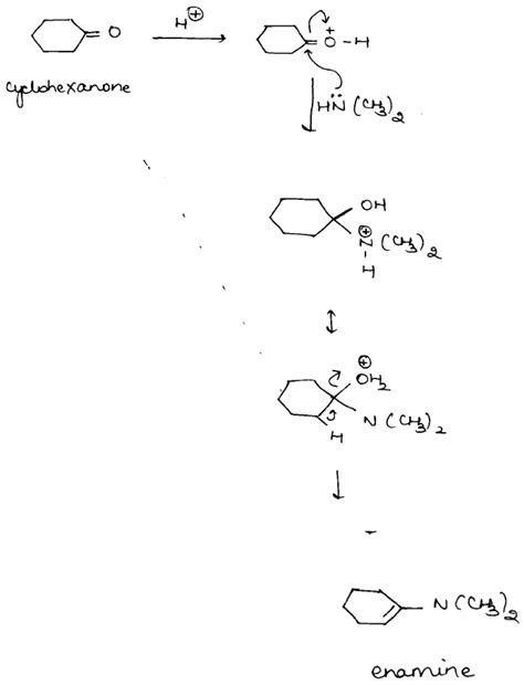 Reaction Of Cyclohexanone With Dimethylamine In Presence Of