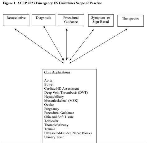 Pocus Academy Point Of Care Ultrasound Is The Visual Stethoscope In The 21st Century