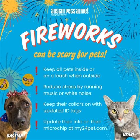 Veterinarian Explains The Real Reason Fireworks Are So Scary For Pets