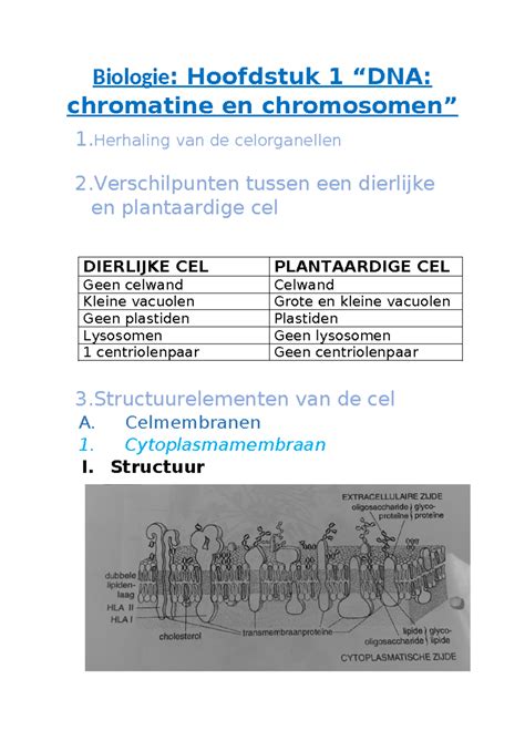 Biologie Hoofdstuk Samenvatting Biologie Hoofdstuk Dna