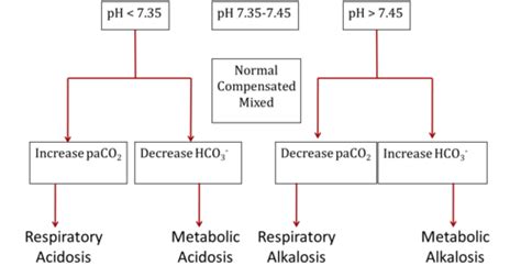 Tb Intro Acid Base Disorders Flashcards Quizlet