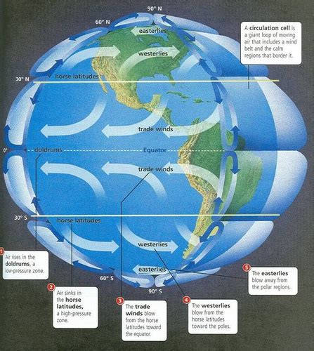 CRS 7th Grade Science Global Wind Belts And Wind Flashcards Quizlet