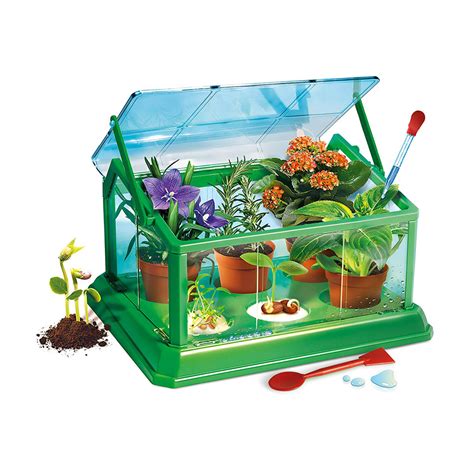 Greenhouse Activity Kit