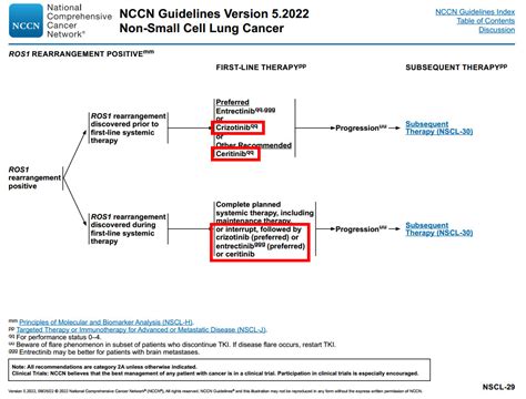 最新版NCCN非小细胞肺癌指南靶向药解读四 非小细胞肺癌 NCCN 克唑替尼 劳拉替尼 靶向 指南 解读 癌症 患者 方案 治疗 耐药 健康界