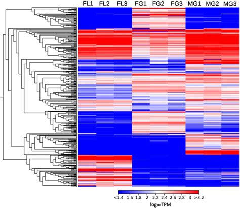 Heat Map Providing An Overview On Gene Expression Profiles Of The Nine