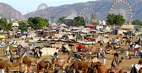 Gallery - Resort,Resort in Pushkar,Luxury Boutique Resort,Weekend Resort in Rajasthan,India