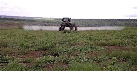 Dúvidas Agropecuárias O controle químico de plantas daninhas na