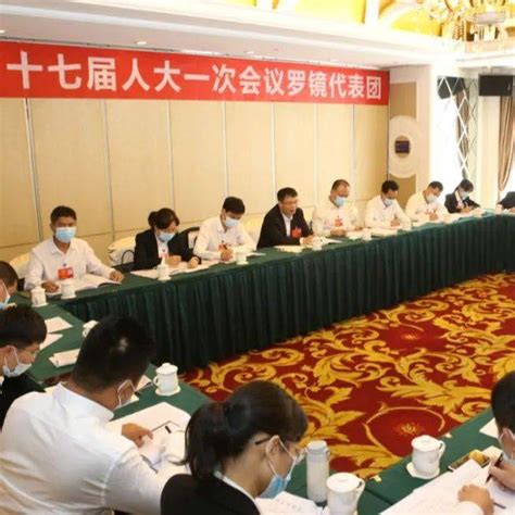 罗永雄参加罗定市第十七届人民代表大会第一次会议罗镜、素龙代表团讨论报告