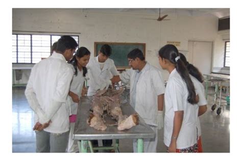 Admission In Drvasantrao Pawar Nashik Prev Ndmvp Samaj Medical