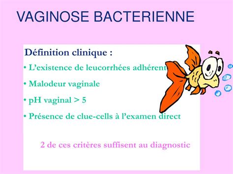 Ppt « La Vaginose Bactérienne En 2006 Powerpoint Presentation Id