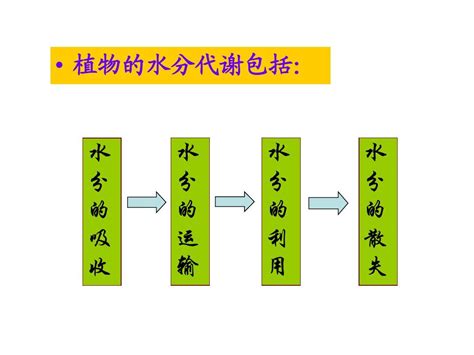 第一章 植物的水分代谢word文档在线阅读与下载无忧文档